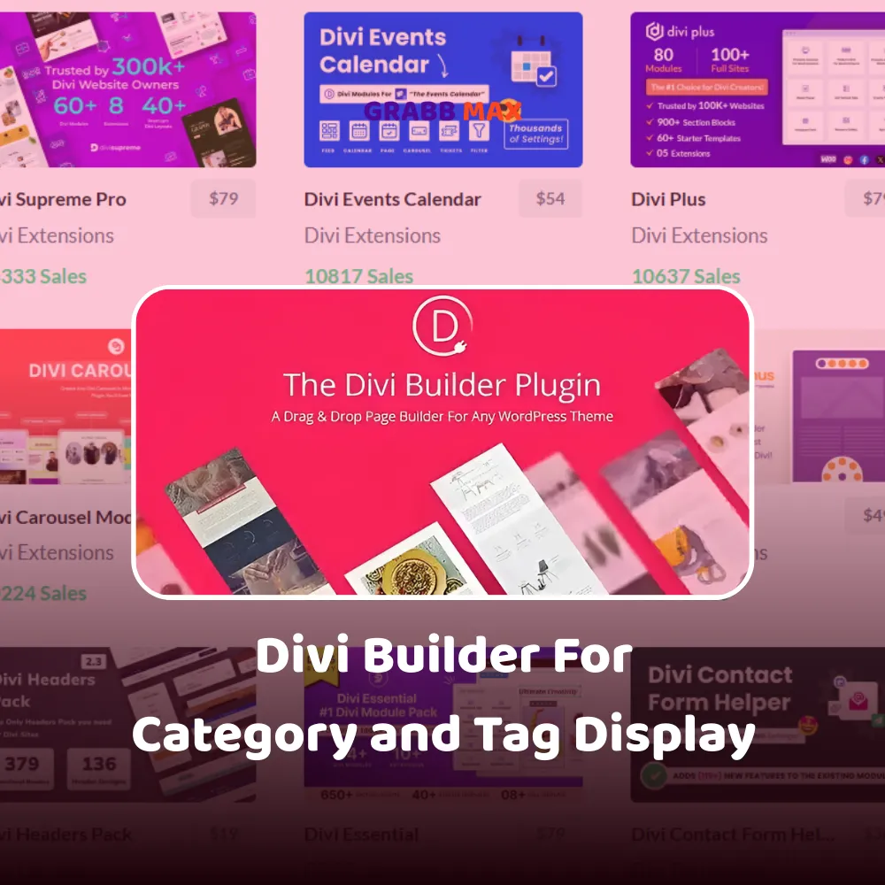 Divi Builder For Category and Tag Display